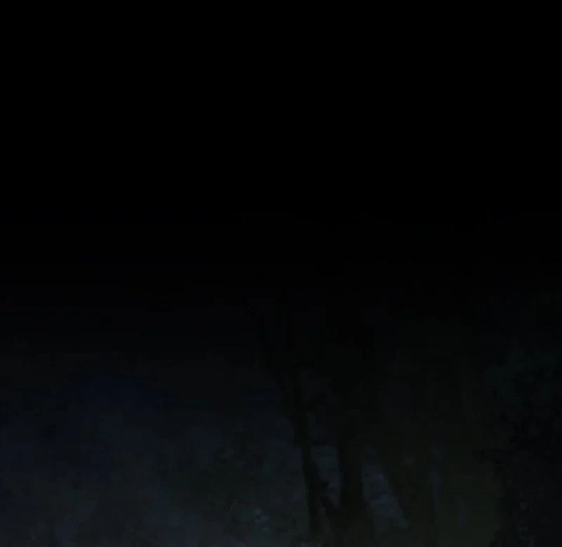 Chapter 83, page 116