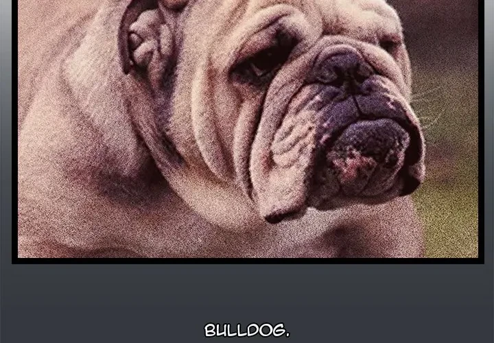 Chapter 7, page 2