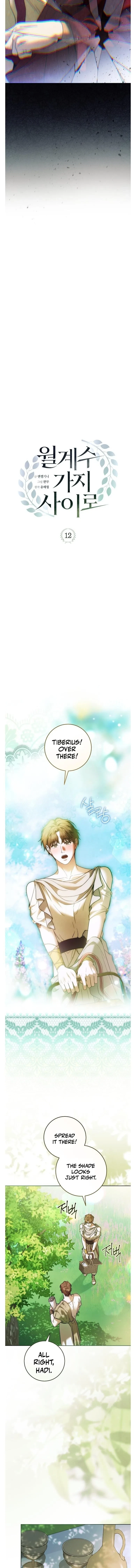 Chapter 12, page 11