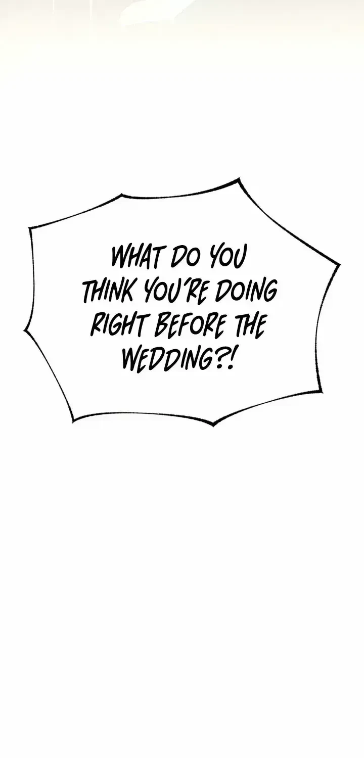 Chapter 2.6, page 83