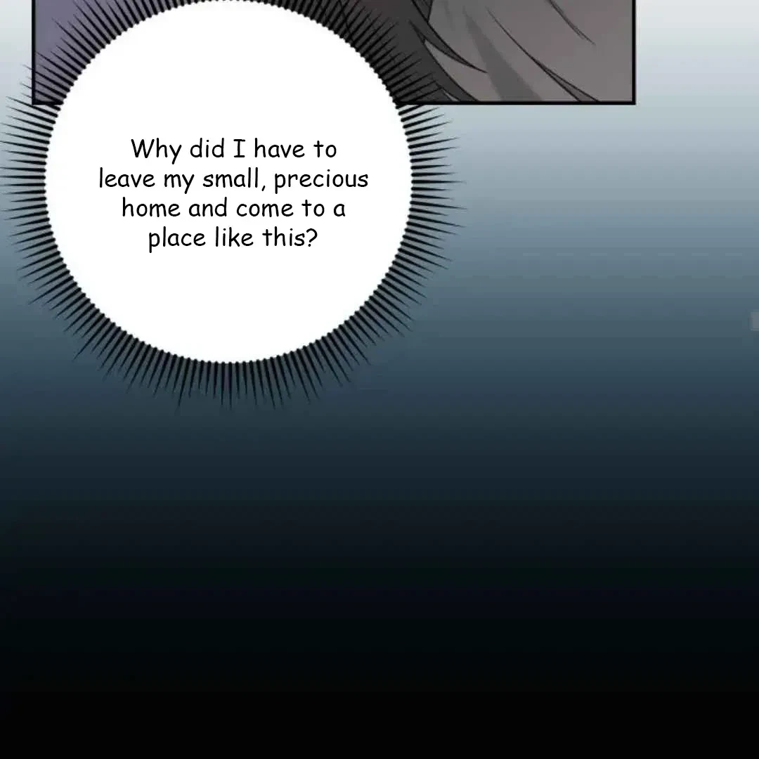 Chapter 12, page 31