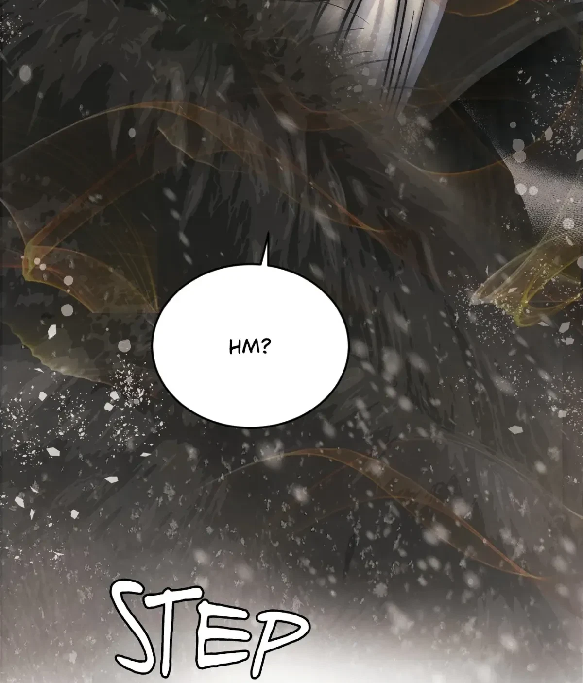 Chapter 1, page 19