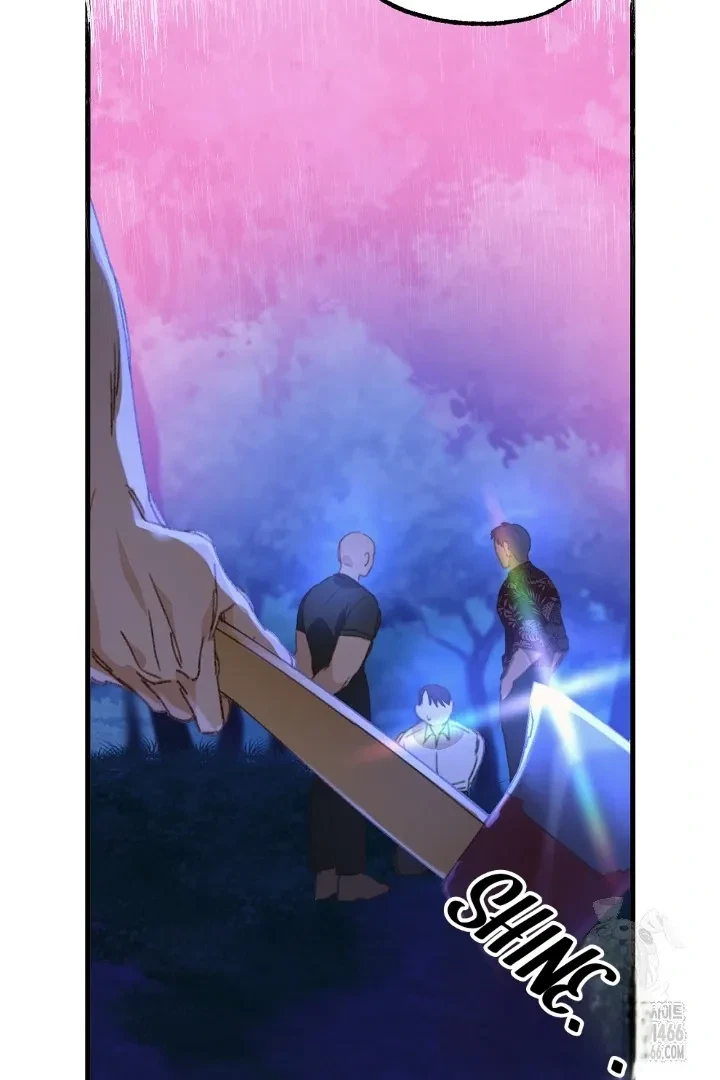 Chapter 2, page 66
