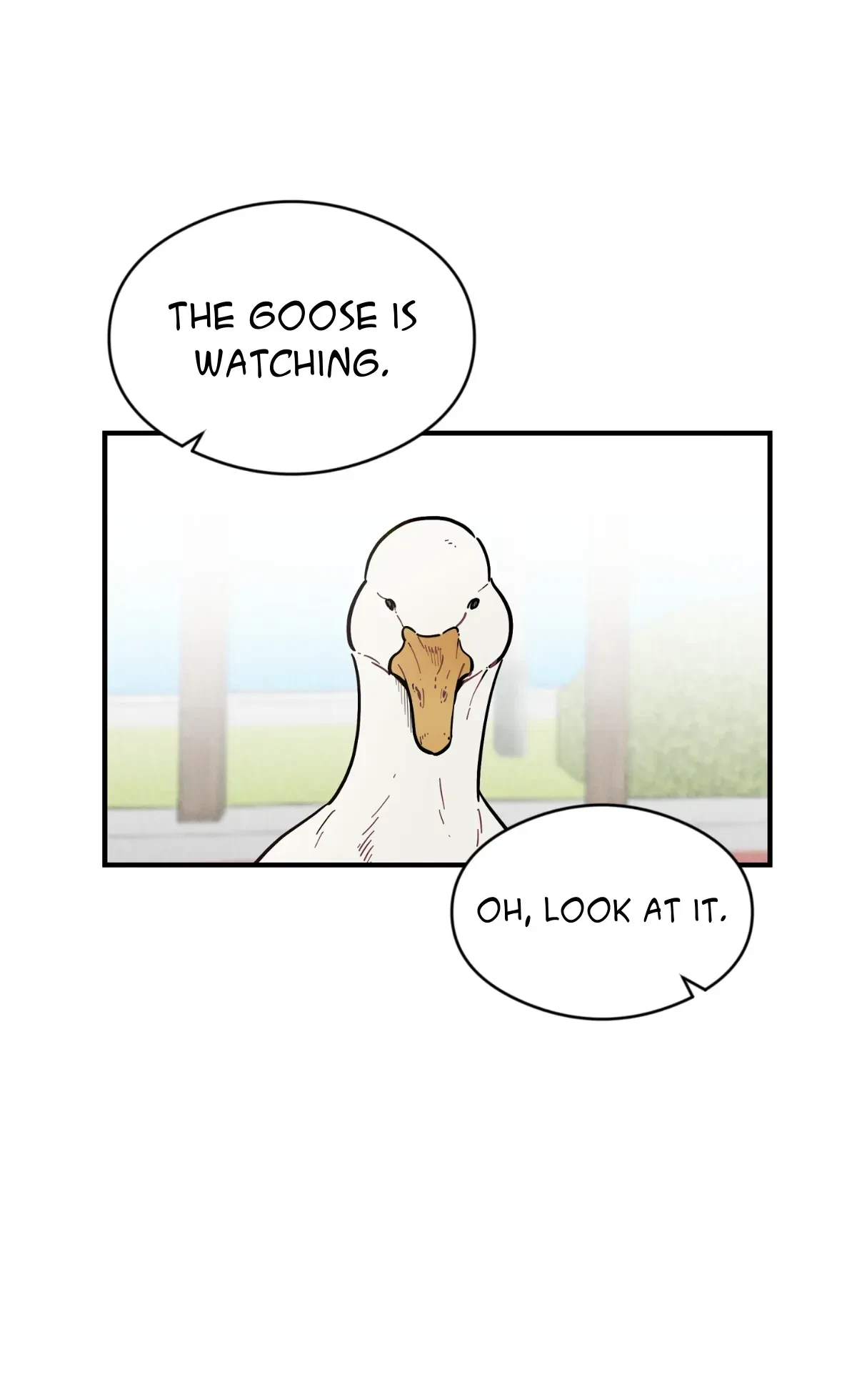 Chapter 45, page 74