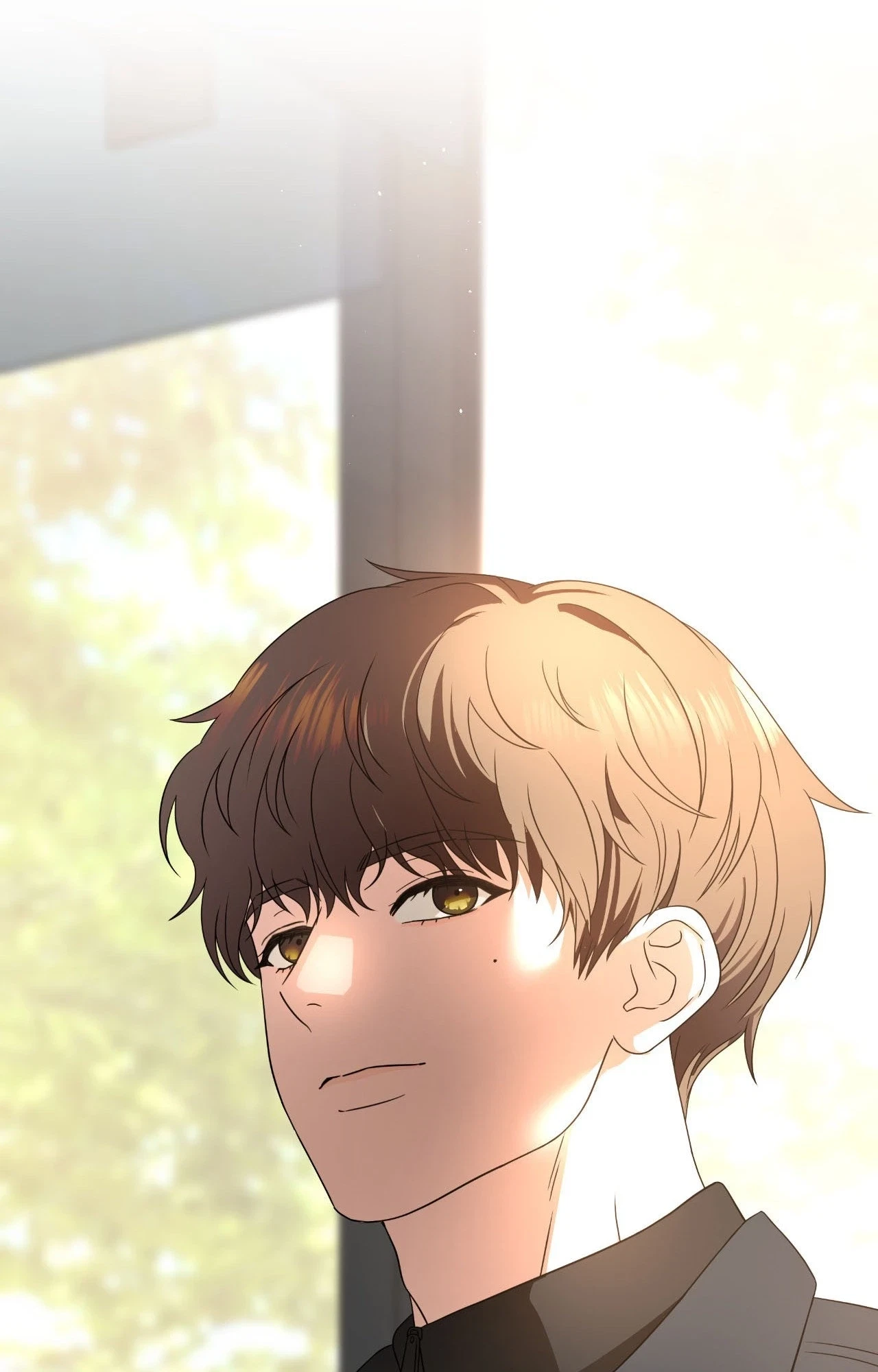 Chapter 81, page 19