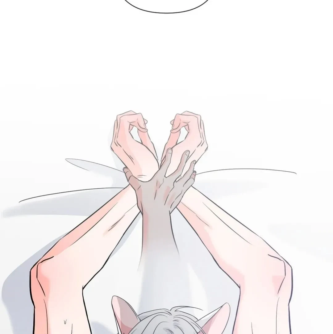 Chapter 8, page 17