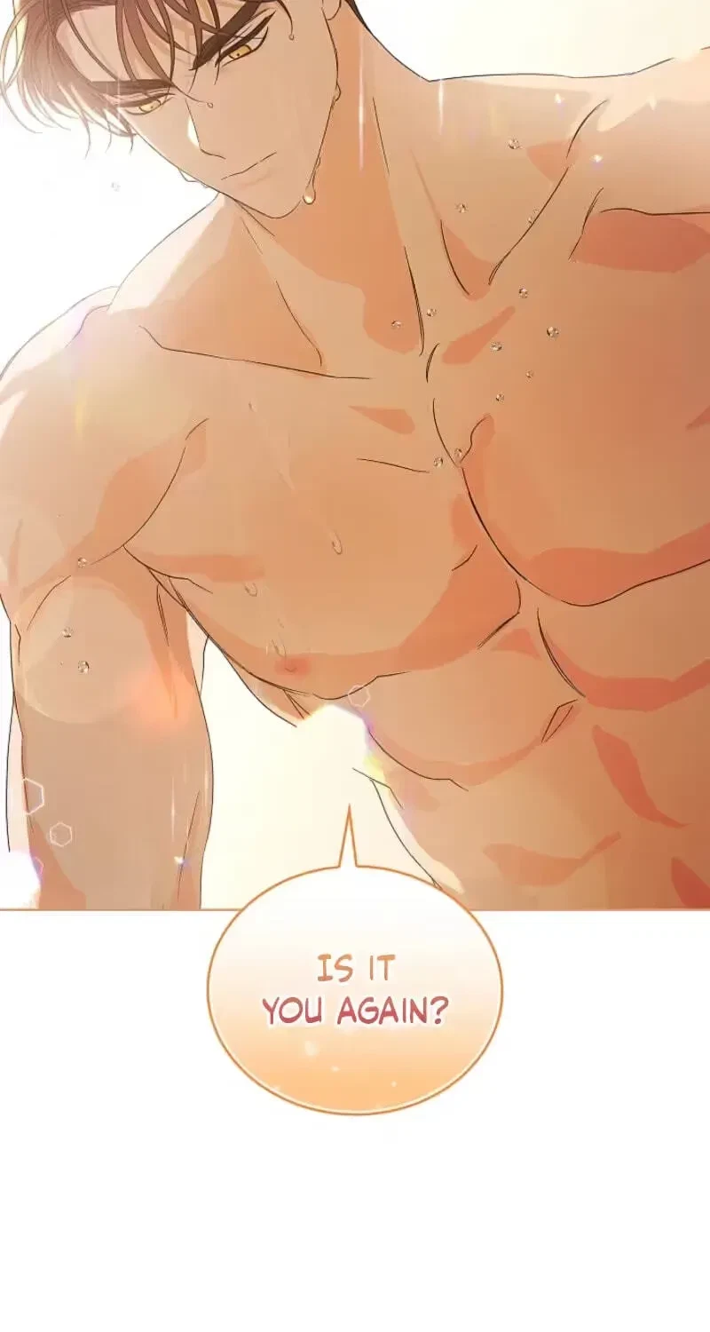 Chapter 3, page 51