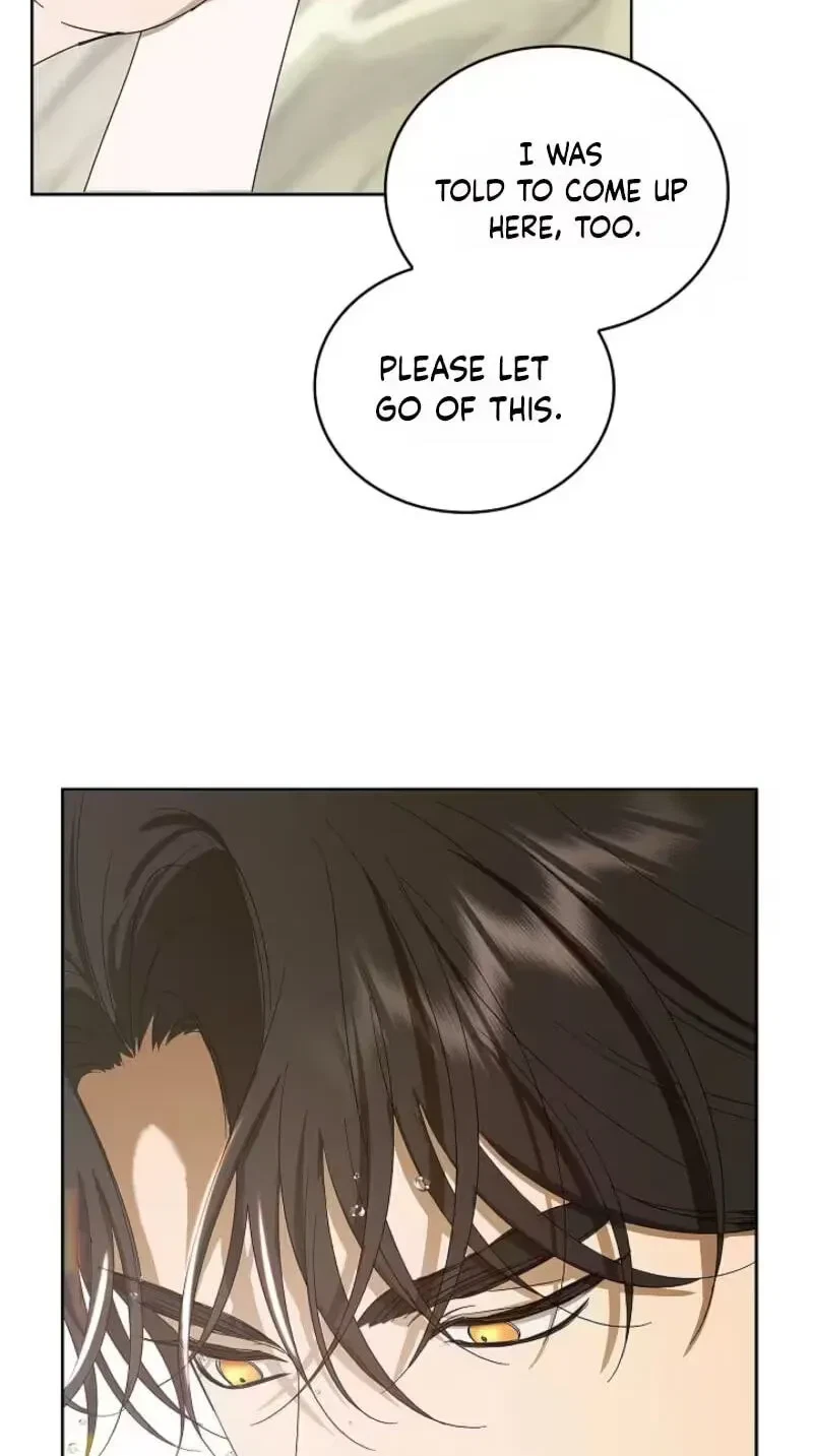 Chapter 3, page 60