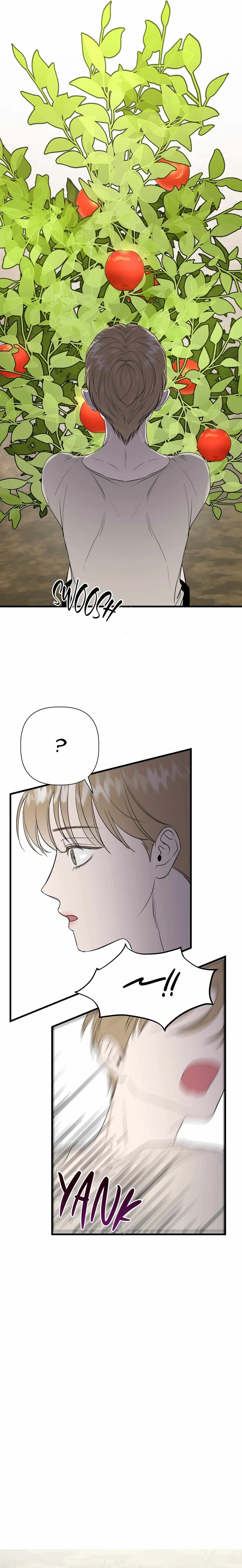 Chapter 1, page 15
