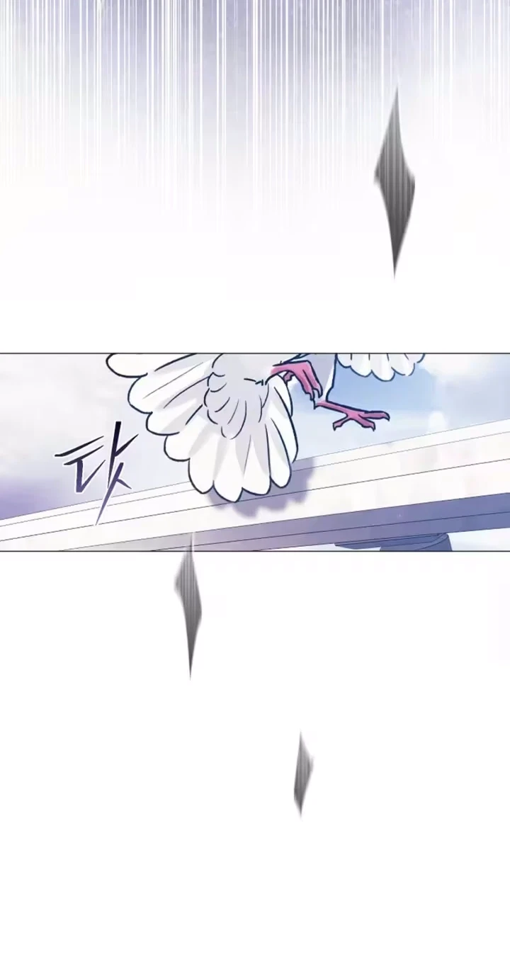 Chapter 51, page 95