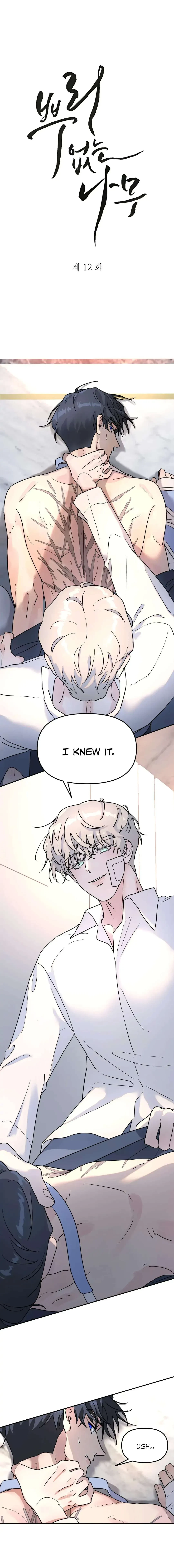 Chapter 12, page 2
