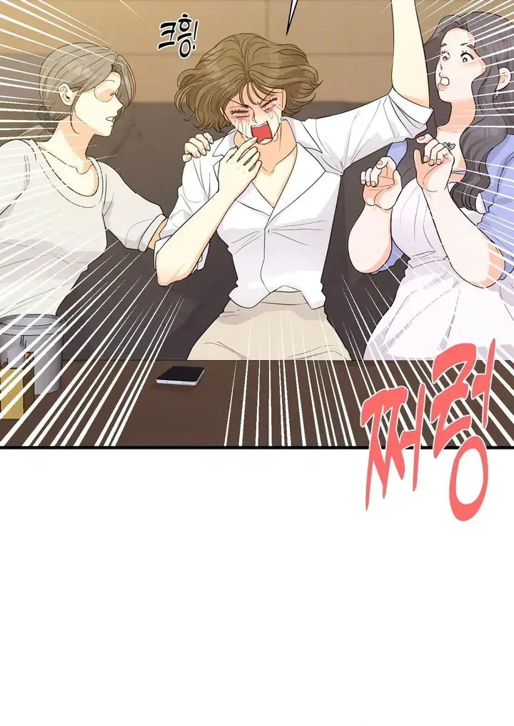 Chapter 1, page 17