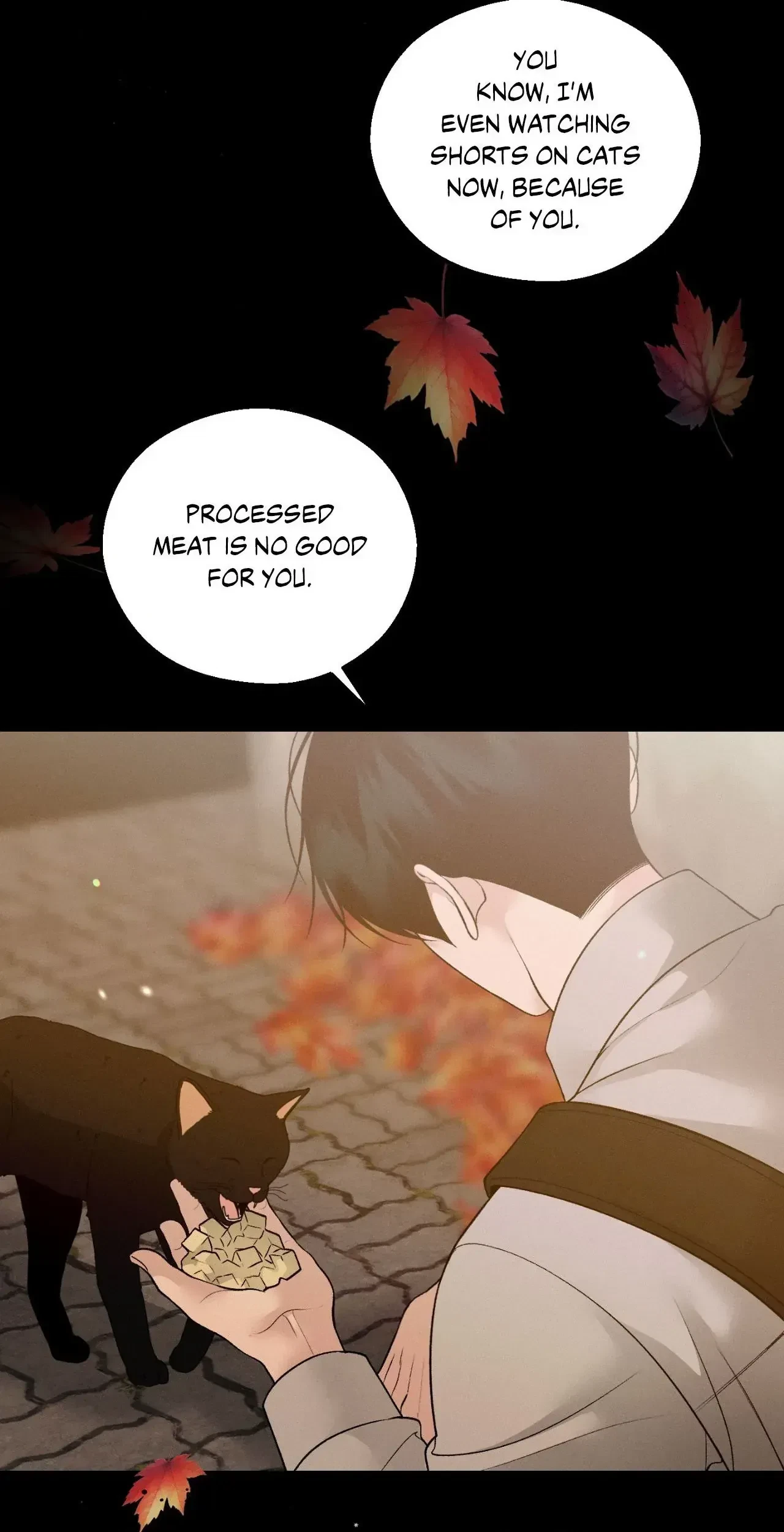 Chapter 43, page 71