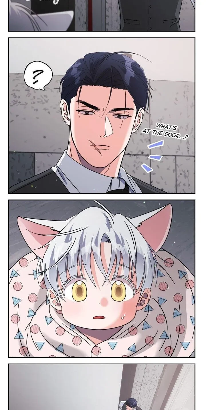 Chapter 30.6, page 15