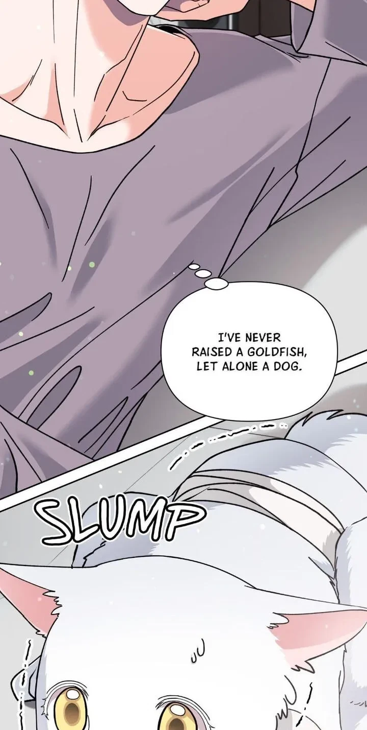 Chapter 30.6, page 2