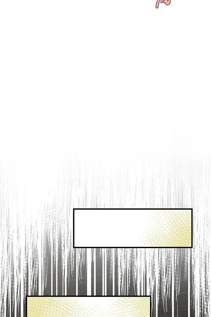 Chapter 3, page 66