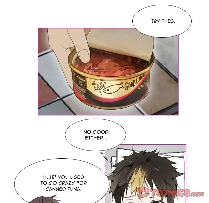 Chapter 4, page 17