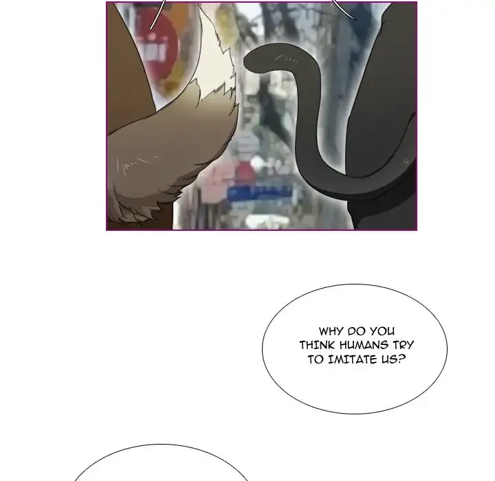 Chapter 4, page 38