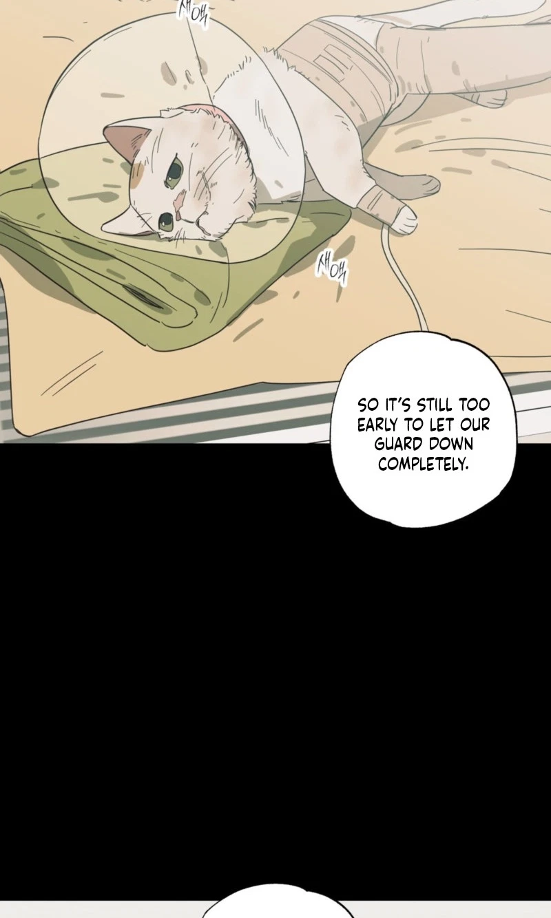 Chapter 34, page 11