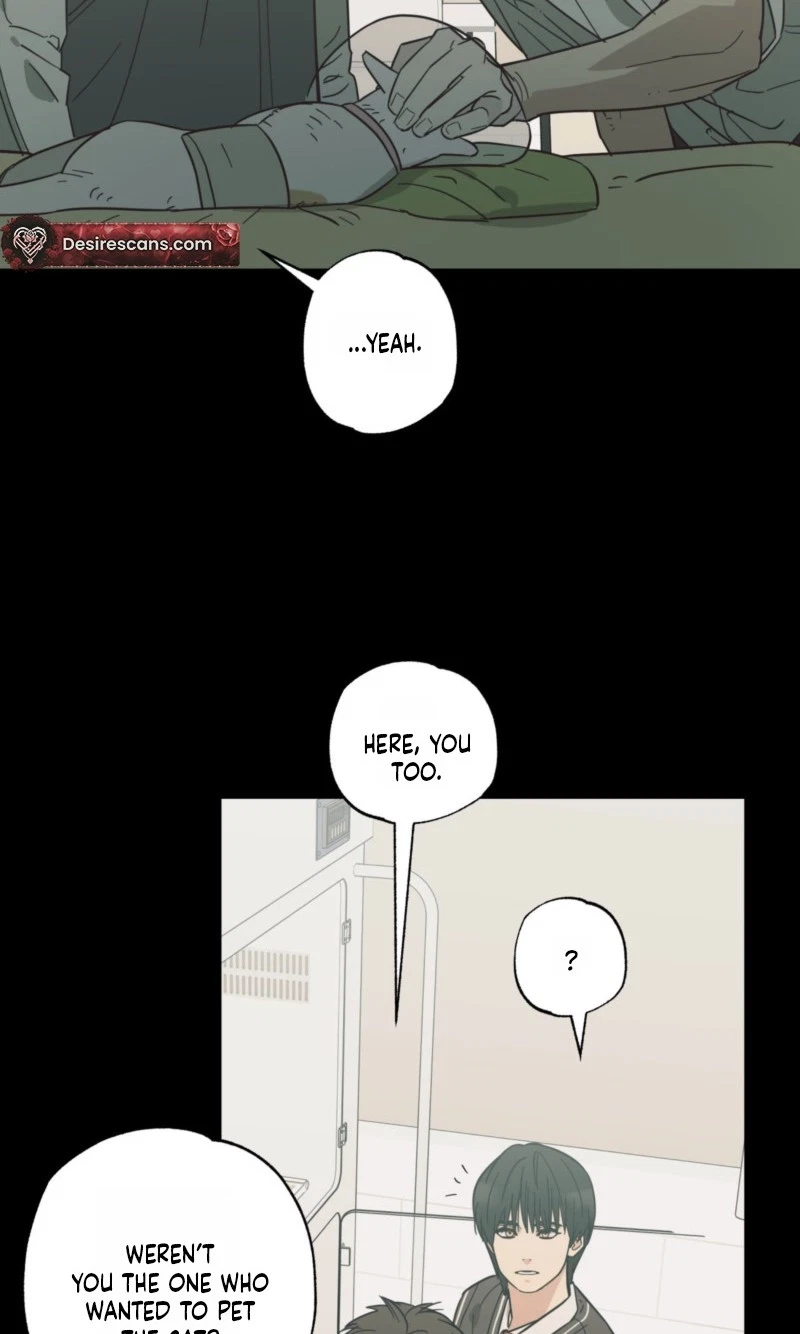 Chapter 34, page 34