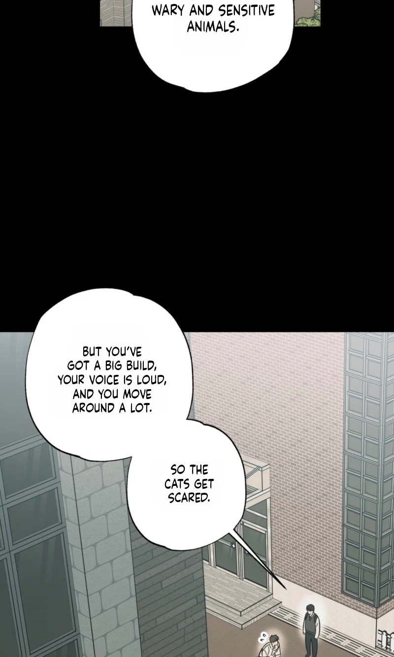Chapter 34, page 57