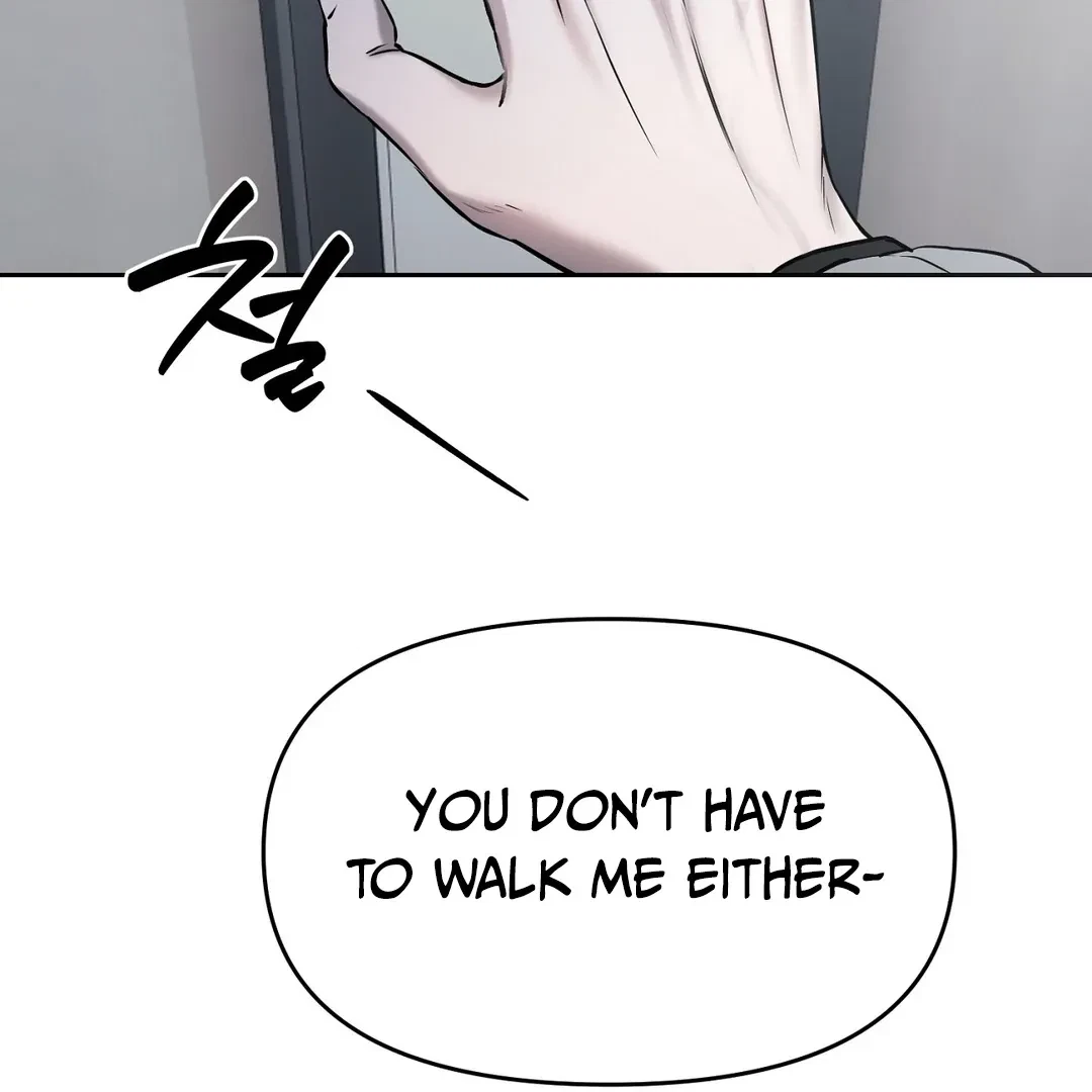 Chapter 8, page 102
