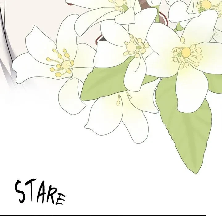 Chapter 2, page 163
