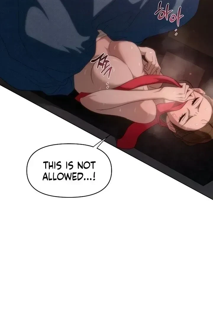 Chapter 1.1, page 15