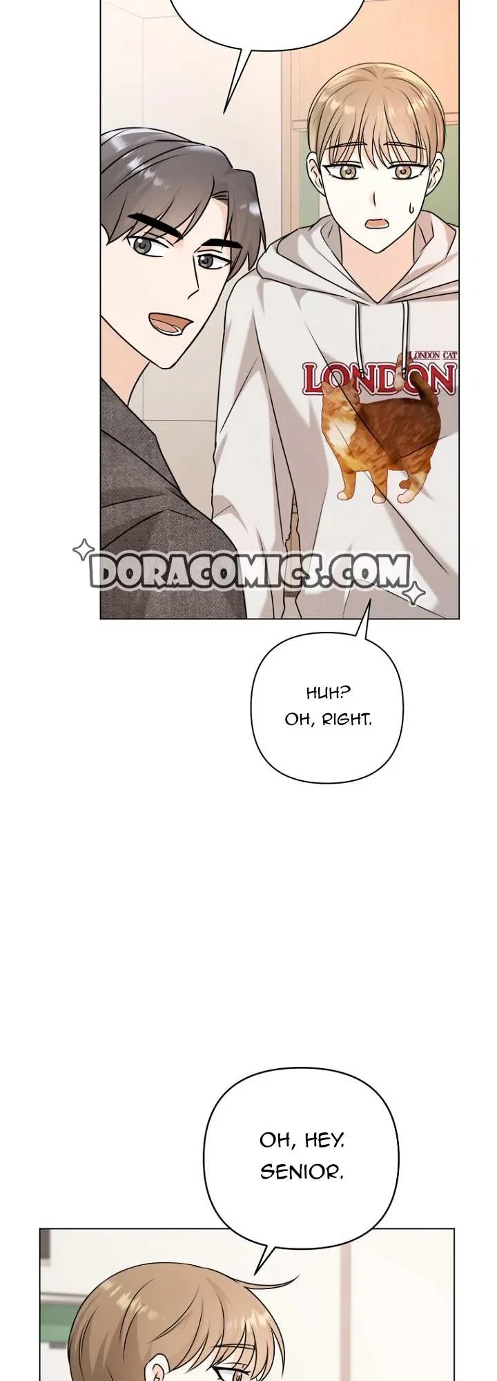 Chapter 2, page 62