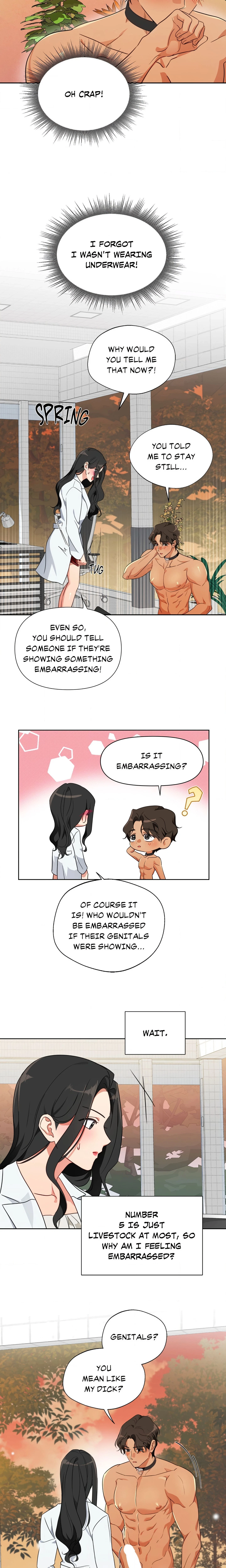 Chapter 2, page 13