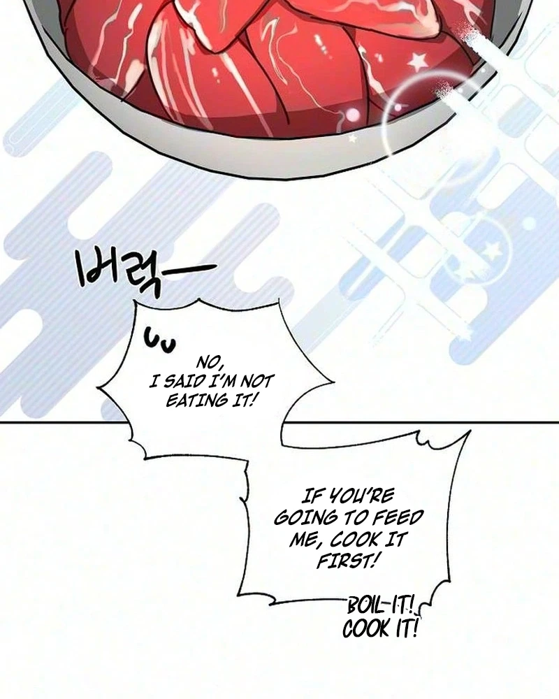 Chapter 2, page 26