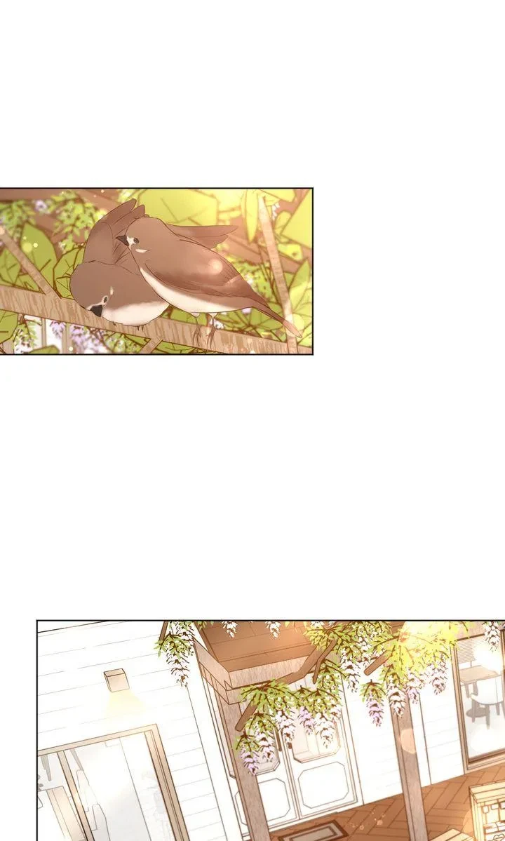 Chapter 81, page 2