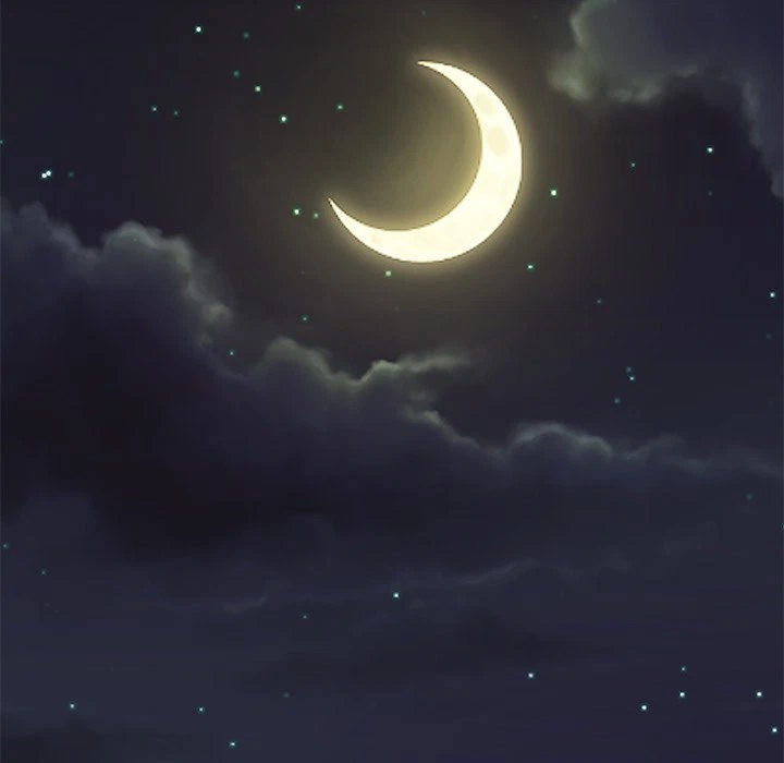Chapter 62, page 15