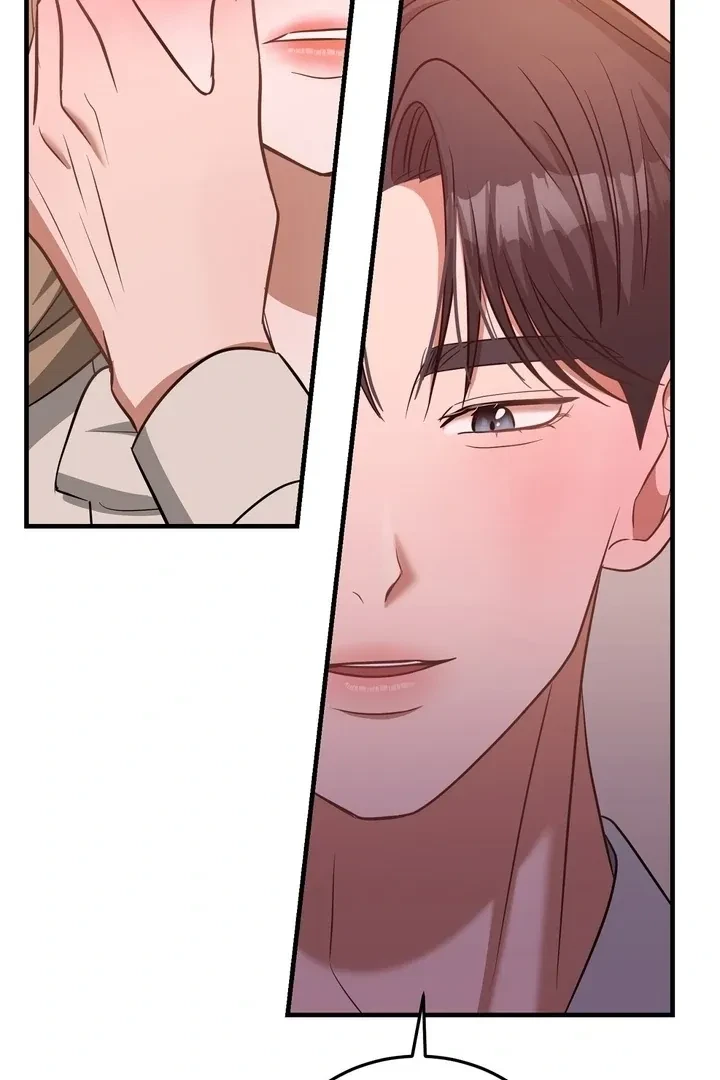 Chapter 3, page 102