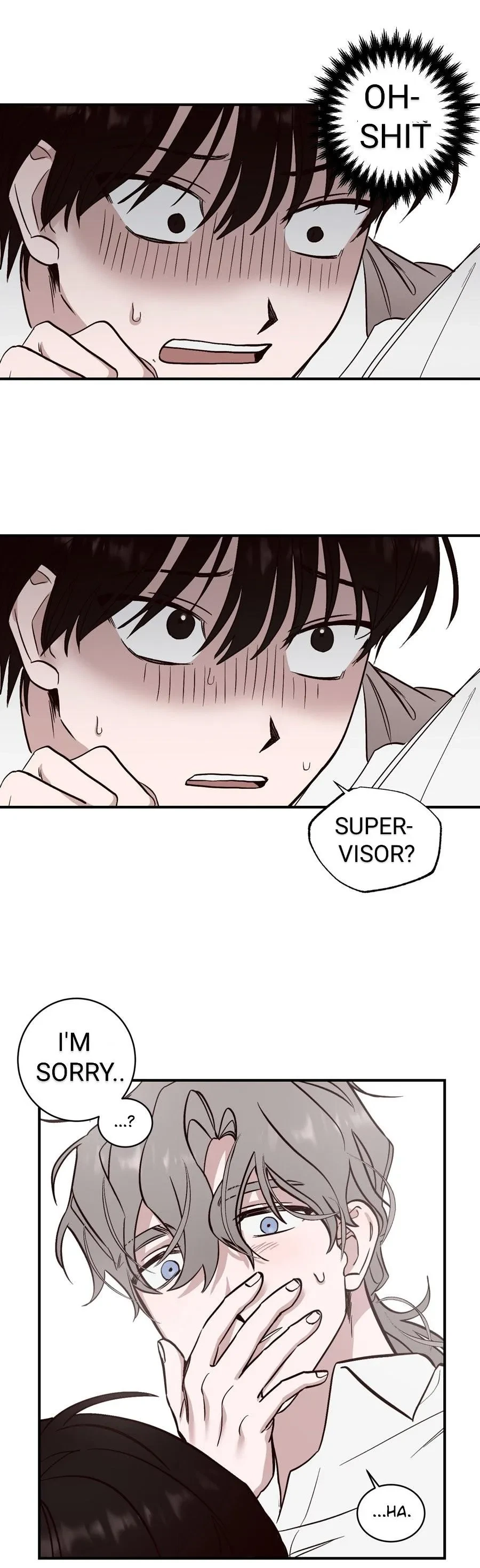 Chapter 2.5, page 10