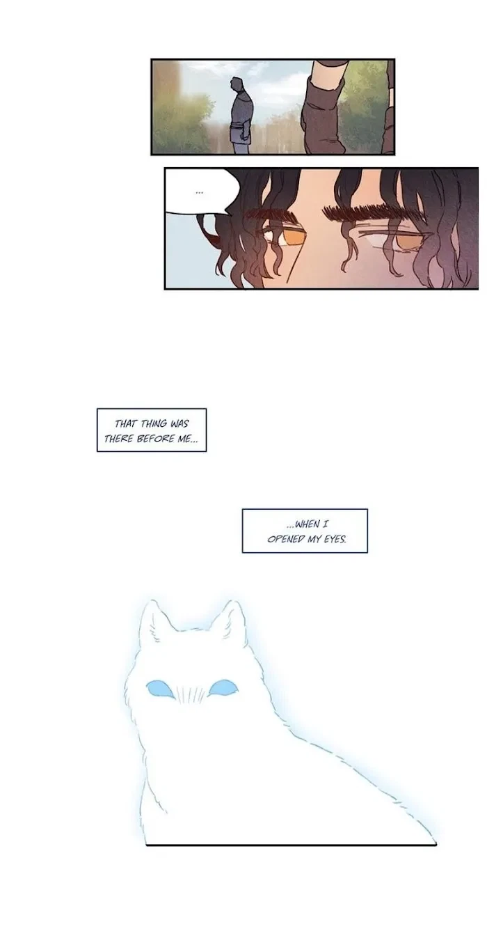 Chapter 7, page 19