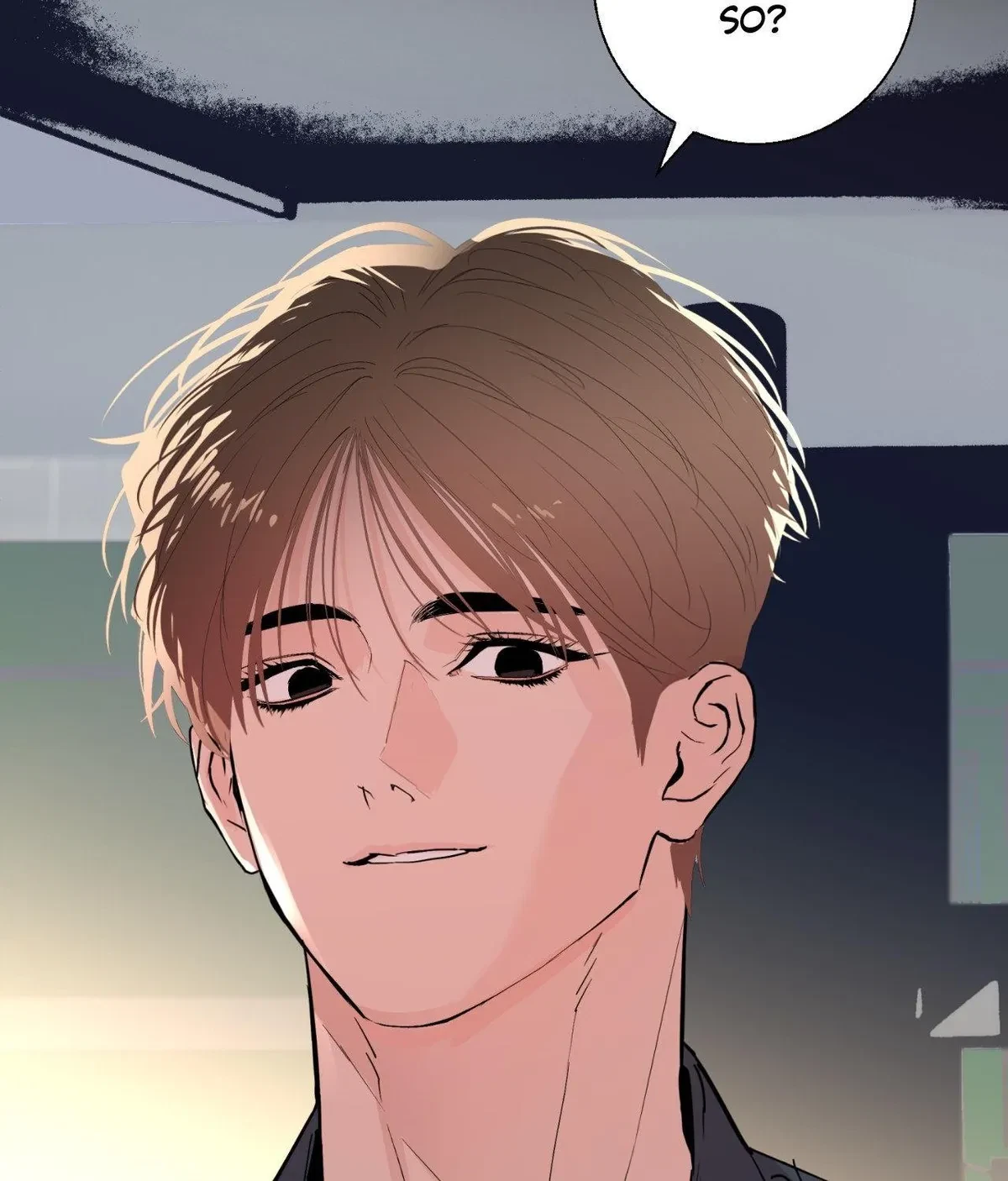 Chapter 18.52, page 102