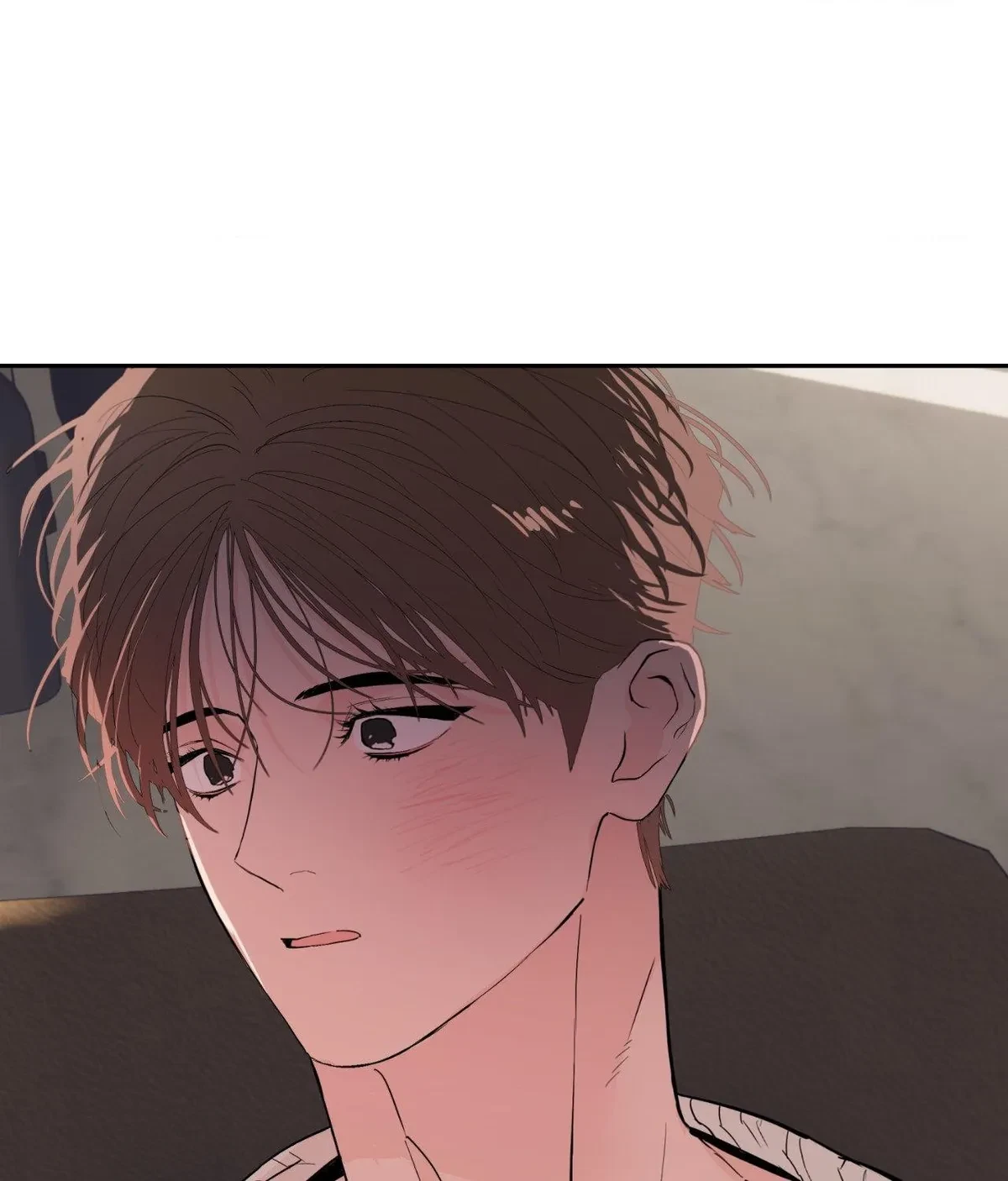 Chapter 18.52, page 74