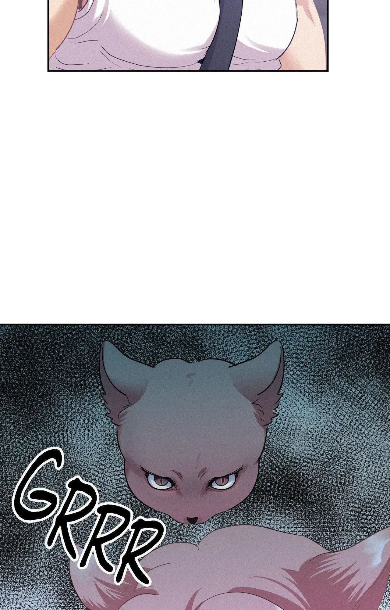 Chapter 97.27, page 13
