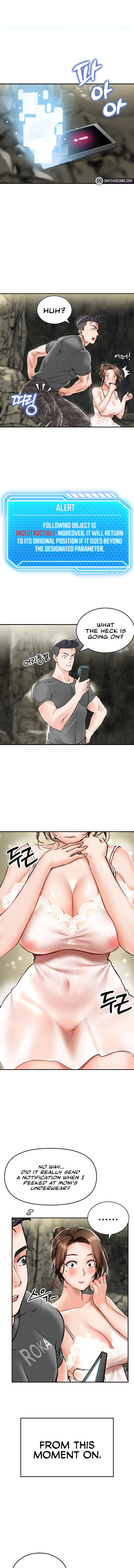 Chapter 1, page 13