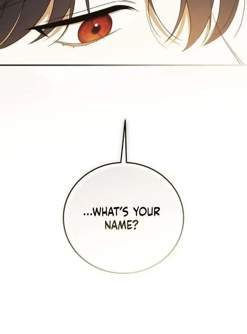 Chapter 1.1, page 174