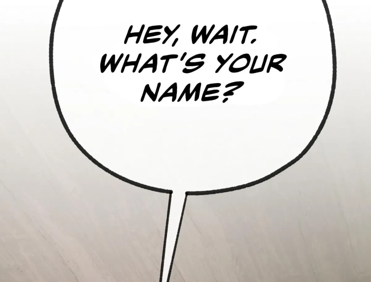 Chapter 4, page 213