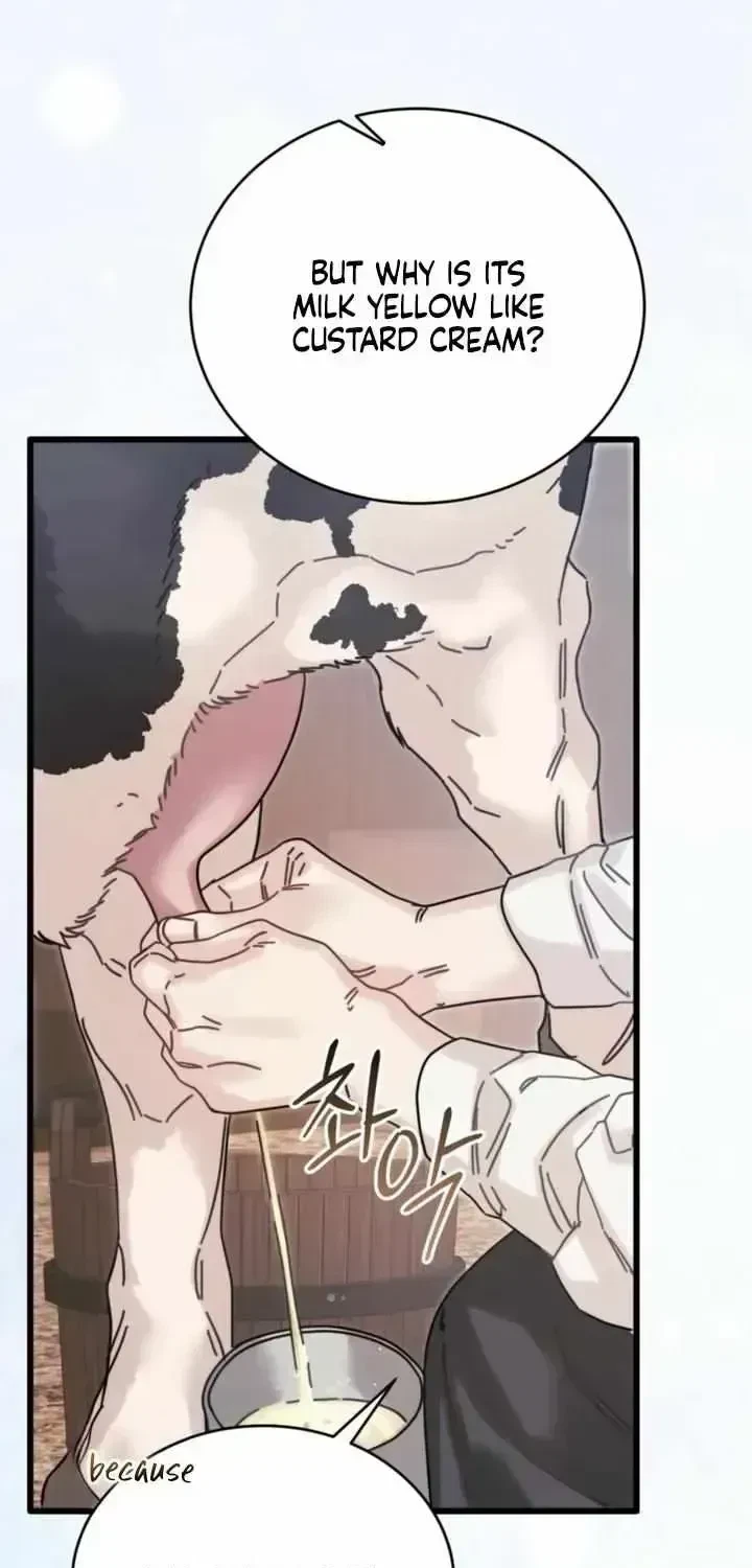 Chapter 2.5, page 32