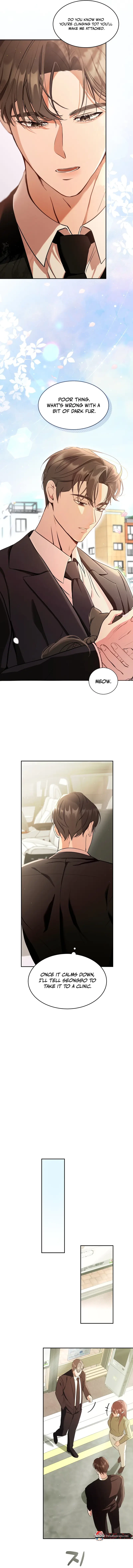 Chapter 1, page 15
