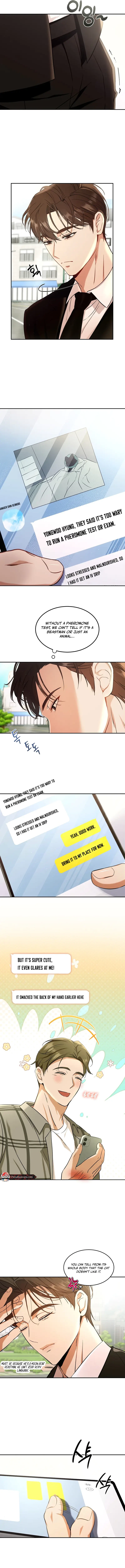 Chapter 1, page 16