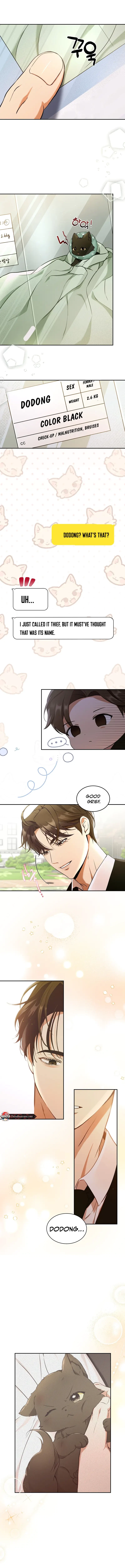 Chapter 1, page 17
