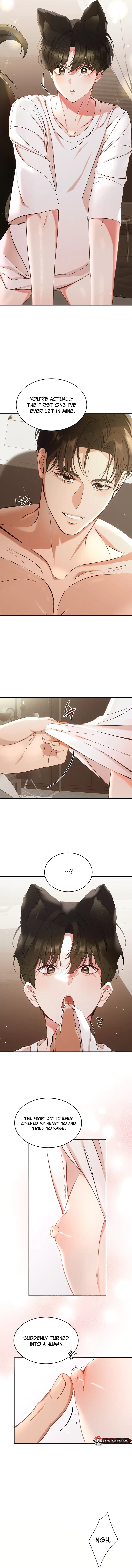 Chapter 1, page 7