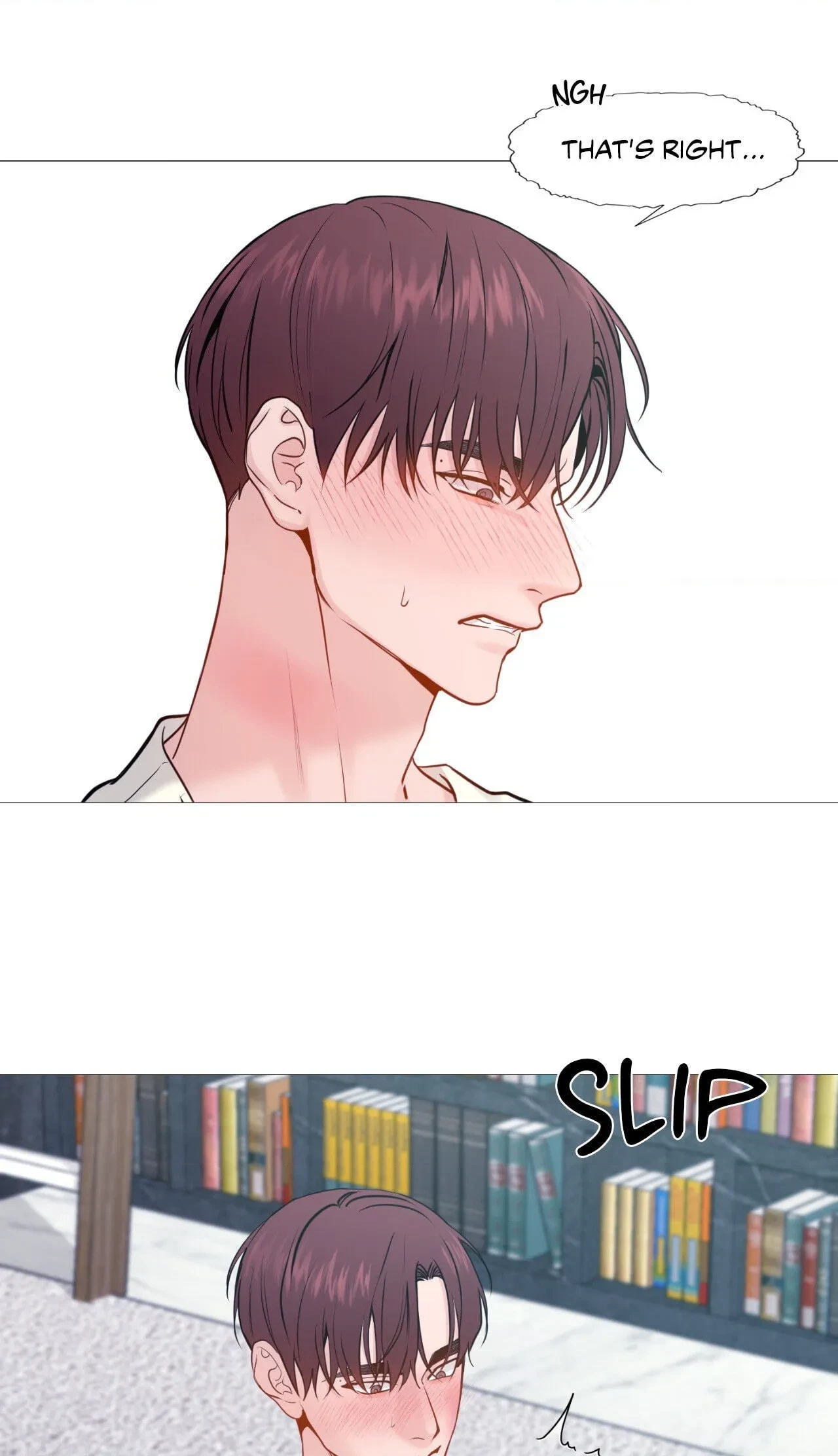 Chapter 116.21, page 17