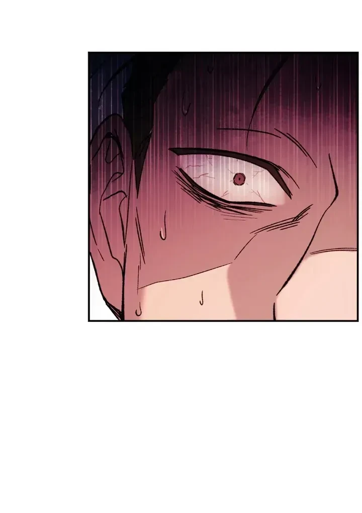 Chapter 1.1, page 28