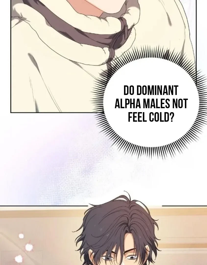 Chapter 2, page 37